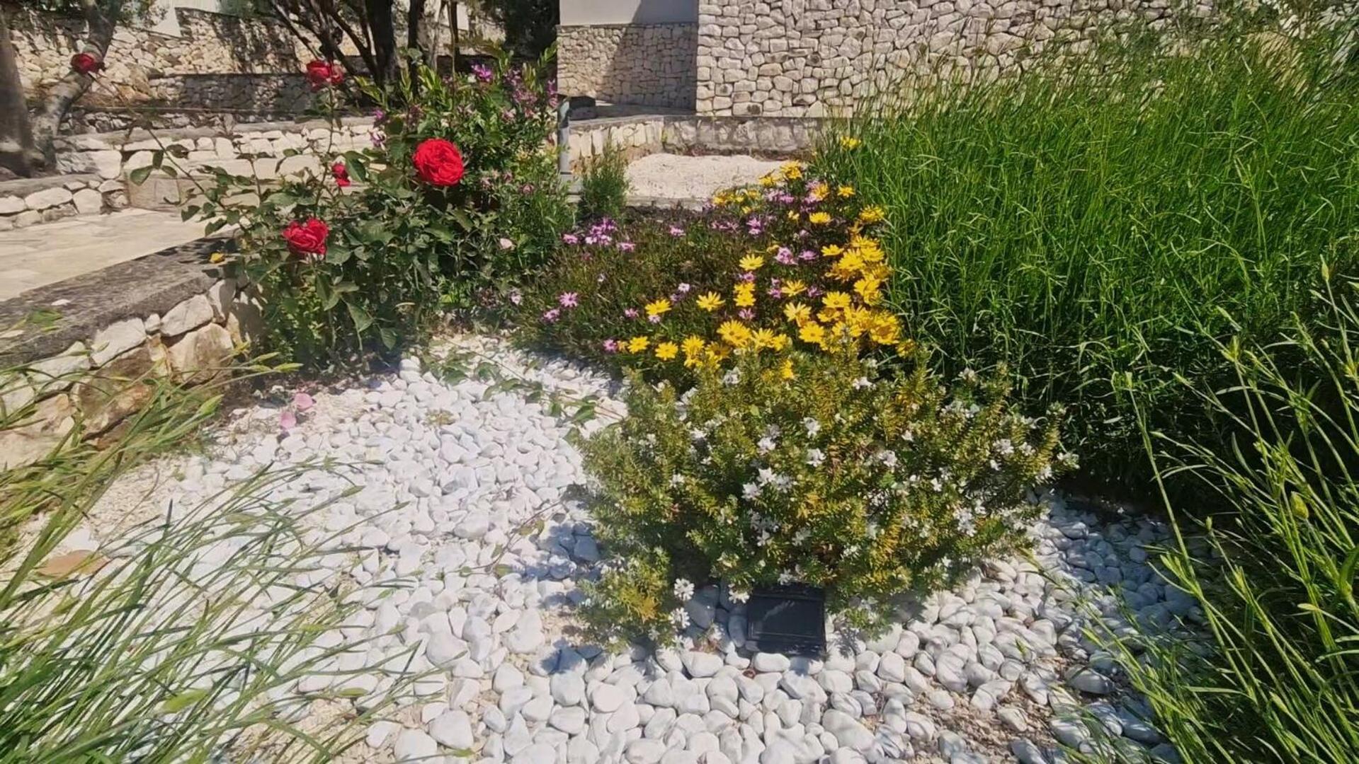 Jadranka Rogoznica (Sibenik-Knin)